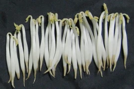 Giật mình loại rau hại gan hơn bia rượu, triệu người ăn không biết