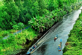 Sống trọn với thiên nhiên nơi đất rừng U Minh Hạ