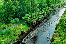 Sống trọn với thiên nhiên nơi đất rừng U Minh Hạ