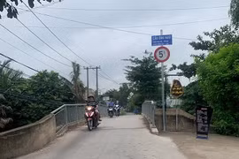 Thủy Lợi Long An - 1 ngày trúng 05 gói thầu tại quận Bình Thạnh