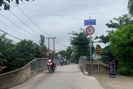 Thủy Lợi Long An - 1 ngày trúng 05 gói thầu tại quận Bình Thạnh