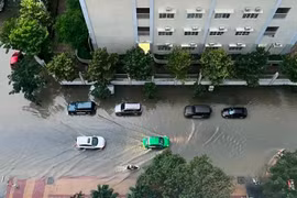 Gói thầu chống ngập tại quận 7 có về tay Xây dựng Duy Bình?