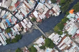 Công ty TNHH Phương Đạt 'một mình một ngựa' trúng liên tiếp 4 gói thầu xây lắp