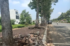 TP Bà Rịa: Đầu tư hàng chục tỷ nâng cấp cải tạo vỉa hè