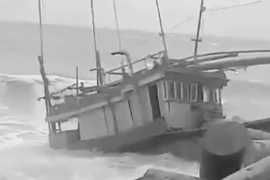 Tàu cá ngư dân tiền tỷ bị sóng đánh chìm, lãnh đạo huyện nói… “chuyện bình thường”