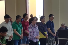 Thuê giang hồ đốt ôtô khiến cha ruột tử vong