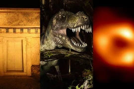 Top bí ẩn khoa học khiến chuyên gia "điên đầu" giải mã năm 2025 