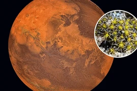 Tiết lộ chấn động NASA tiêu diệt sự sống trên Sao Hỏa năm 1976? 