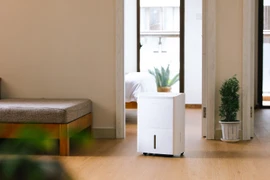 Mua máy hút ẩm mùa nồm: Chọn sao cho phù hợp? 