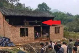 Dỡ ngôi nhà cổ 300 tuổi, sung sướng phát hiện ‘báu vật’ nghìn tỷ