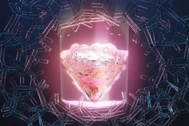 Trung Quốc “chơi lớn”, khoe pin hạt nhân sống khỏe suốt 100 năm 