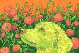 Bảng xếp hạng 4 con giáp tài vận tốt nhất năm Ất Tỵ