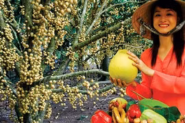 Phong Điền, xứ sở của người đẹp ít ai biết