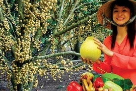 Phong Điền, xứ sở của người đẹp ít ai biết