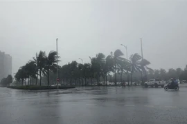 Chuyên gia nói gì về thông tin "Quảng Ninh đón bão lớn đầu tháng 5"?