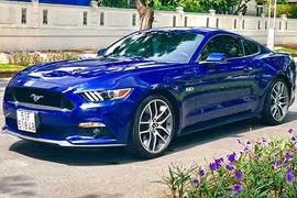 Ford Mustang GT V8 hàng hiếm giá 2,7 tỷ tại Sài Gòn
