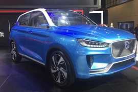 Nhiều ôtô Trung Quốc cài "đường lưỡi bò" nhập về Việt Nam