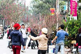 Dự báo thời tiết 9/2: Miền Bắc ấm tưng bừng trước mưa rét