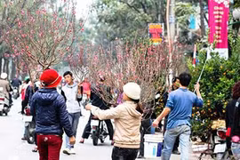 Dự báo thời tiết 9/2: Miền Bắc ấm tưng bừng trước mưa rét