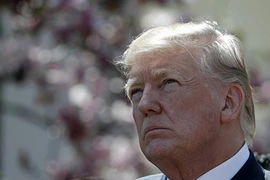 Ông Trump chưa có quyết định cuối cùng về Syria