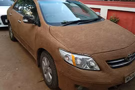 Dùng "độc chiêu" trét phân bò lên xe Toyota chống nóng 