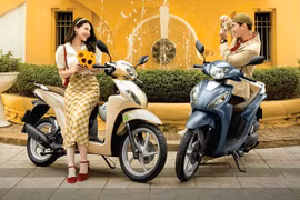 Honda Wave Alpha và Vision đổi màu sơn từ 18,9 - 36,6 triệu đồng