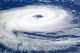 Bí kíp giúp bạn chủ động ứng phó với cơn bão lớn 