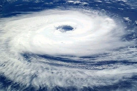 Bí kíp giúp bạn chủ động ứng phó với cơn bão lớn 