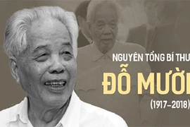 Viếng nguyên Tổng bí thư Đỗ Mười chỉ mang băng tang, không mang vòng hoa