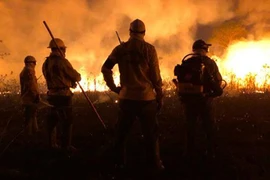 Gặp gỡ bộ tộc thầm lặng cứu rừng Amazon khỏi biển lửa