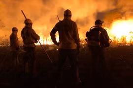 Gặp gỡ bộ tộc thầm lặng cứu rừng Amazon khỏi biển lửa