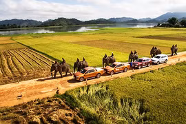 Ford Việt Nam bán ra 2.451 xe trong tháng 5/2017