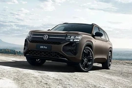 Volkswagen Teramont Pro có gì "đấu" Hyundai Palisade và Ford Explorer?