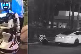 Xe tự lái Tesla "đâm chết" một rô bốt rồi bỏ chạy?