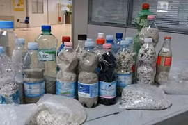 Bị phạt hơn 1.000 USD vì lấy cát và vỏ sò ở bãi biển