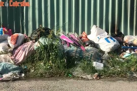 TP HCM: Rác thải ngập tràn bên cạnh trường mầm non 