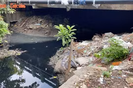 TP. HCM: “Báo động đỏ” trên các kênh, rạch tại quận Bình Thạnh