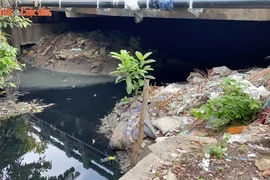 TP. HCM: “Báo động đỏ” trên các kênh, rạch tại quận Bình Thạnh