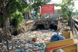 TP HCM: Rác thải phủ kín một dòng kênh ?