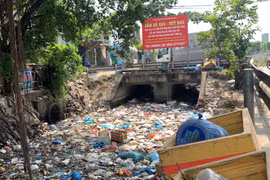 TP HCM: Rác thải phủ kín một dòng kênh ?