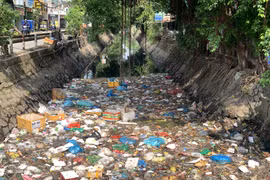 TP HCM: Kênh 19/5 đang bị “bức tử” vì rác thải