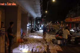 TPHCM: Hơn 50 năm, chợ cá cảnh đêm… vẫn thức!