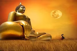 Đức Phật có chịu chi phối của quy luật nhân quả không?