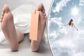 Điều gì xảy ra sau khi con người ngưng thở?