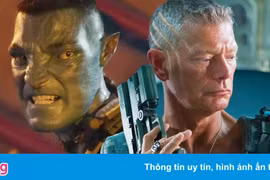 Chiêm ngưỡng dàn sao Avatar 2 với thù lao triệu đô 