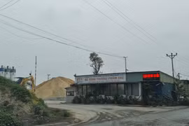 Hải Phòng: Công ty SUVICO xây trạm bê tông không phép trên hành lang đê điều