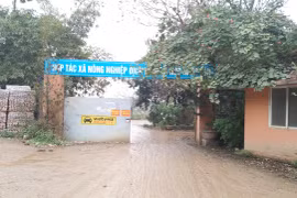 Bãi tập xe trái phép ở Nhật Tân: “Không làm gì được cả!“