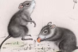 2 tuổi vướng Tam Tai nghèo rớt mùng tơi năm 2023