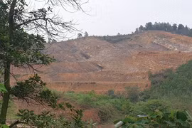 Quảng Ninh: Công ty Trung Tiến mải mê bán đất, chậm trồng cây