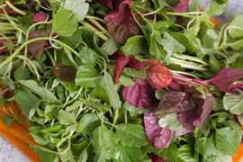 Lợi ích quý giá của rau dền, nhiều người bỏ qua mà không biết